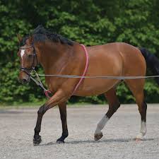 Lunging aid